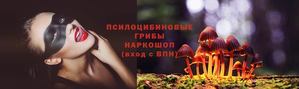 COCAINE Медногорск